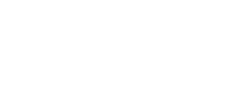Blueview Logo